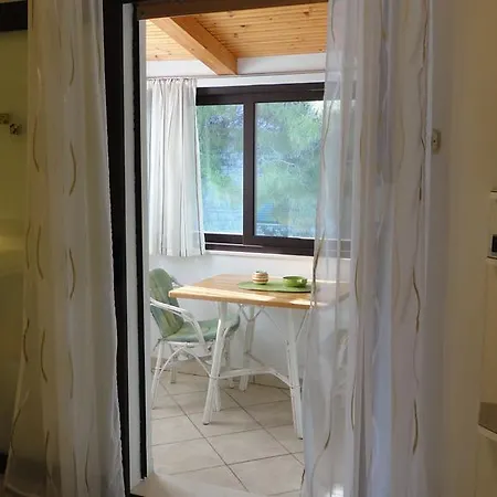 Bozica Bol