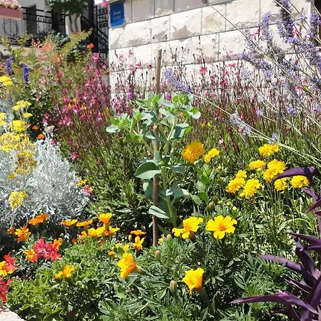 ゲストハウス Bozica