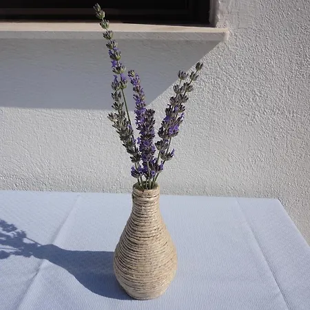 Guest house Bozica 3*